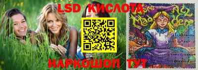 mdpv Гатчина