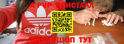 mdpv Гатчина