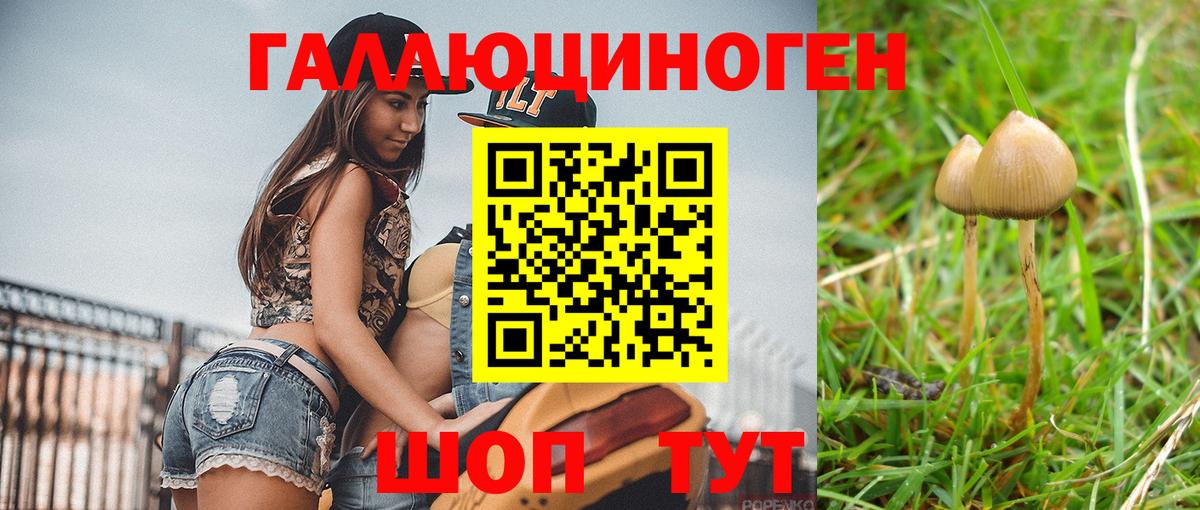 Галлюциногенные грибы MAGIC MUSHROOMS Каменск-Шахтинский