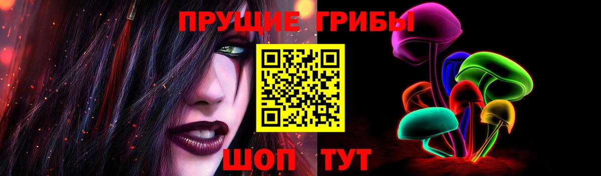 Галлюциногенные грибы прущие грибы  Вход с VPN  Псилоцибиновые грибы MAGIC MUSHROOMS  Каменск-Шахтинский 
